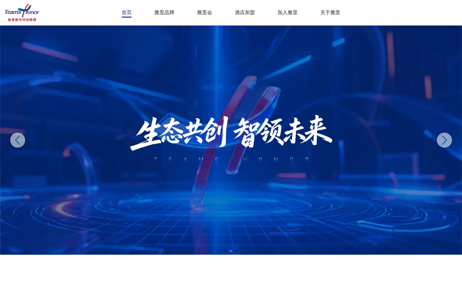 雅里数科集团 页面快照